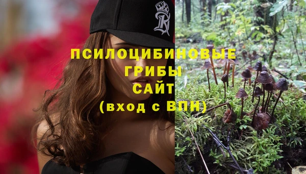 МДПВ Алексеевка
