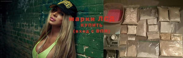 ГАЛЛЮЦИНОГЕННЫЕ ГРИБЫ Аркадак