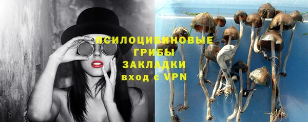 мяу мяу мука Алзамай