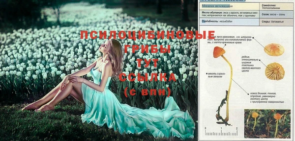 не бодяженный Алексин