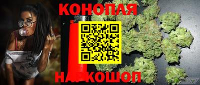 a pvp Славянск-на-Кубани