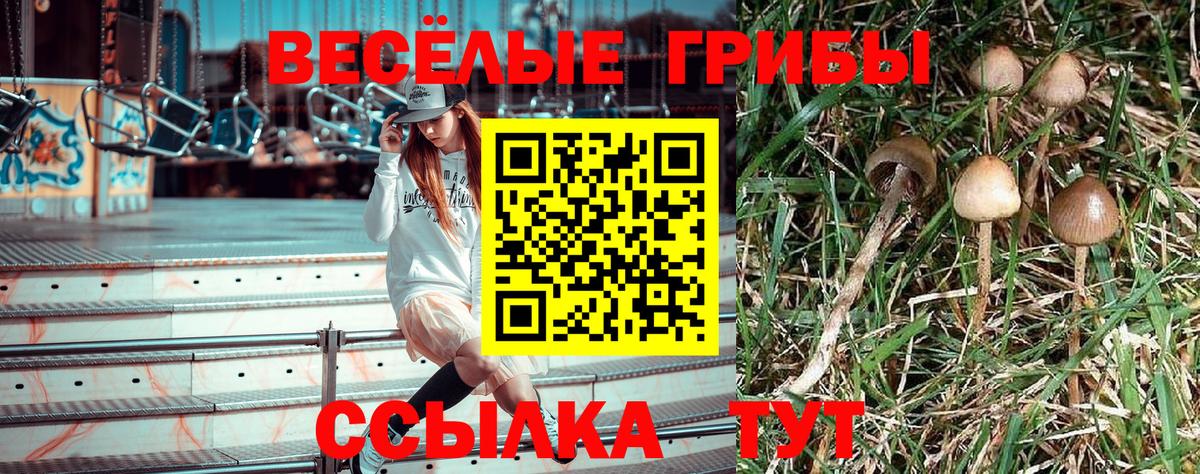 Псилоцибиновые грибы ЛСД  Вход с VPN  Псилоцибиновые грибы мухоморы  Кулебаки 